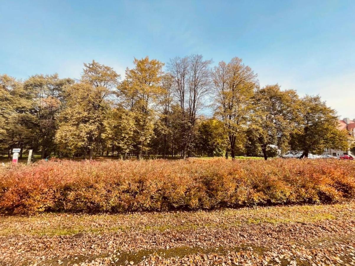 Apartamenty Ktw Silesia City Center - Park Slaski Katowice Luaran gambar
